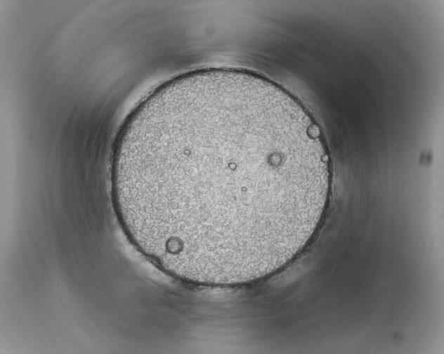 X0000112830950200909111354