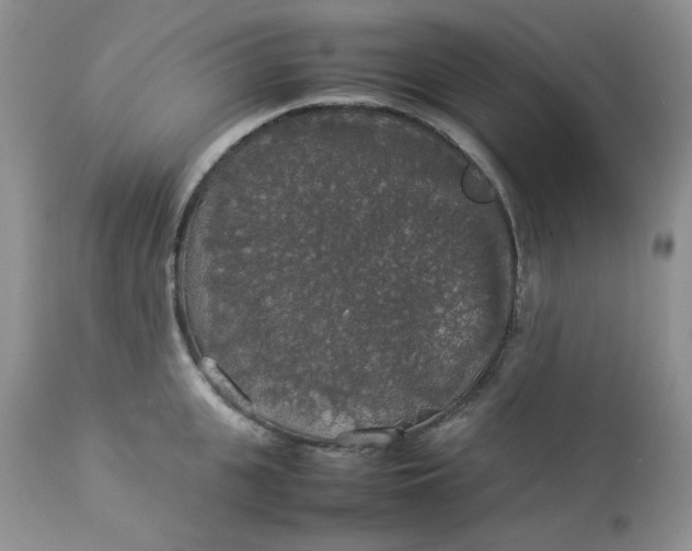 X0000112830951200909111354