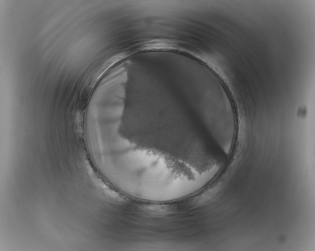 X0000112830953200909111354