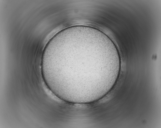 X0000112830954200909111354