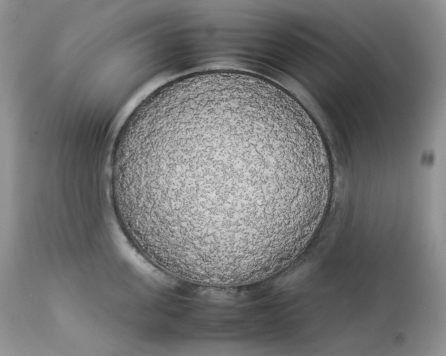 X0000112830955200909111354