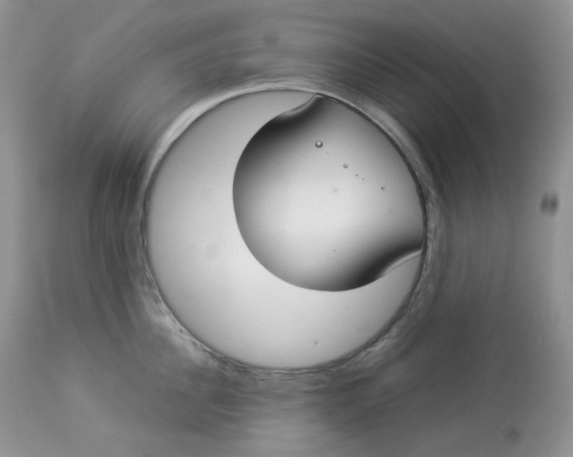 X0000112830956200909111354