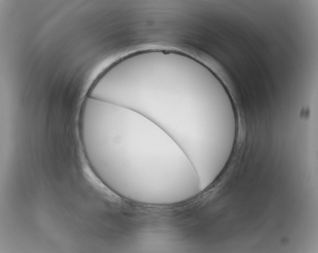 X0000112830958200909111354