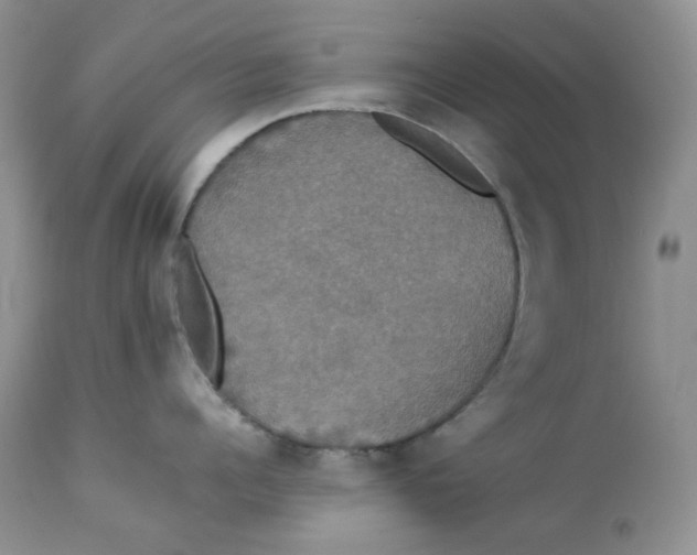 X0000112830960200909111354