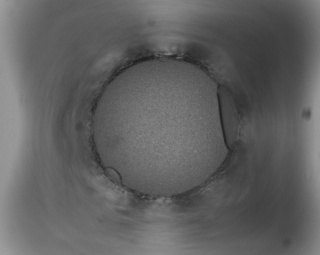 X0000112830961200909111354