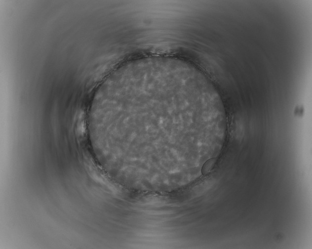 X0000112830962200909111354