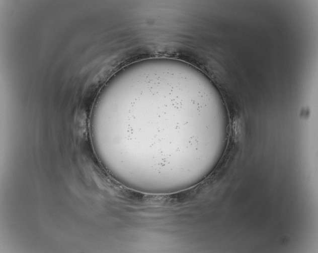 X0000112830963200909111354