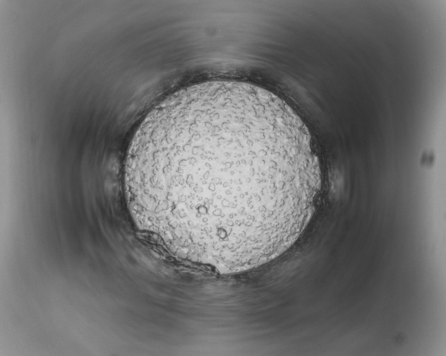 X0000112830964200909111354