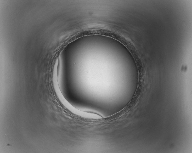 X0000112830965200909111354