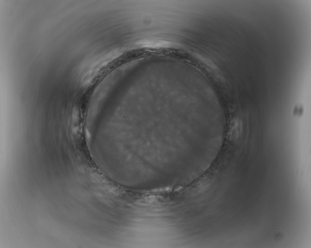 X0000112830966200909111354