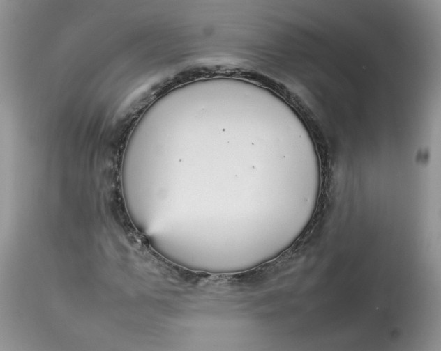 X0000112830967200909111354