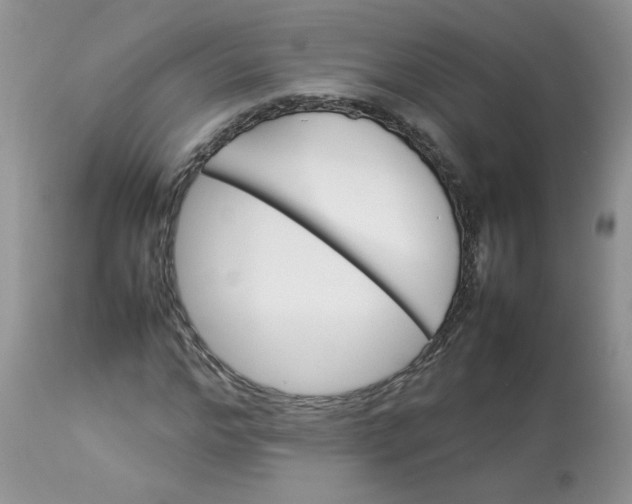 X0000112830968200909111354