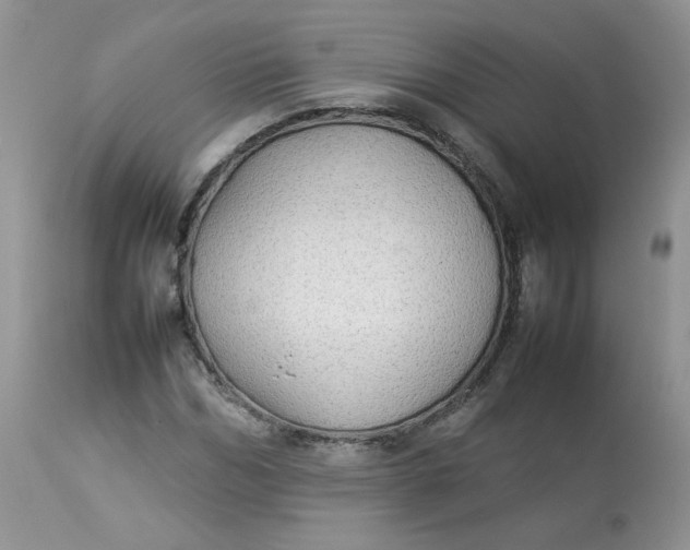 X0000112830970200909111354