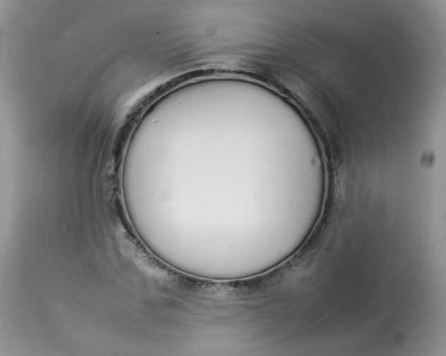 X0000112830971200909111353