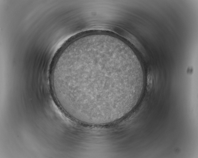 X0000112830972200909111353