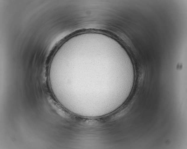 X0000112830974200909111353