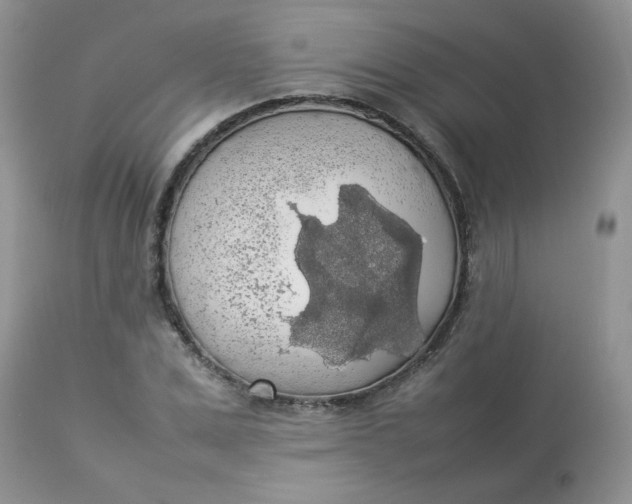 X0000112830975200909111353