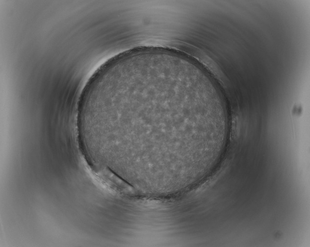 X0000112830976200909111353