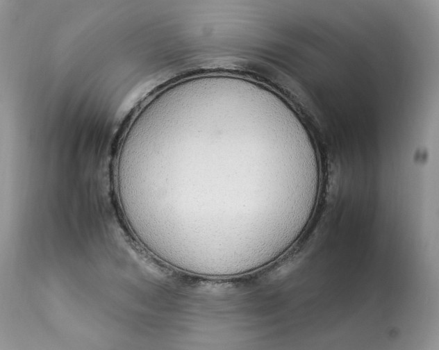 X0000112830978200909111353