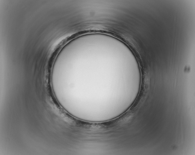 X0000112830979200909111353