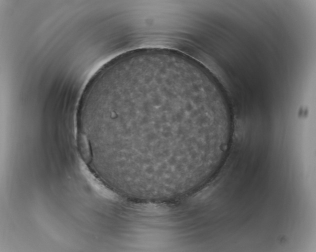 X0000112830980200909111353