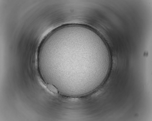 X0000112830982200909111353