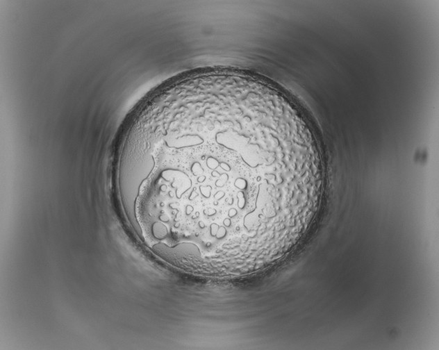 X0000112830983200909111353