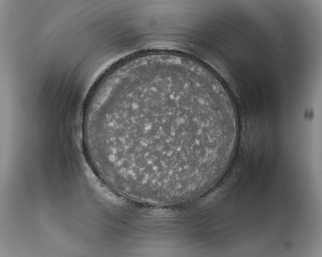 X0000112830984200909111353