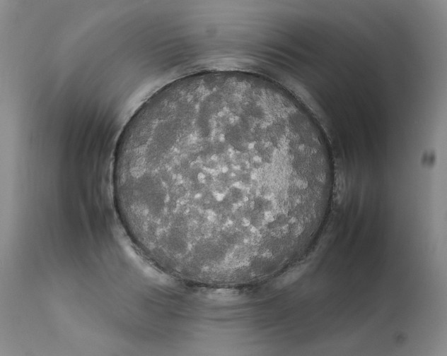 X0000112830986200909111353