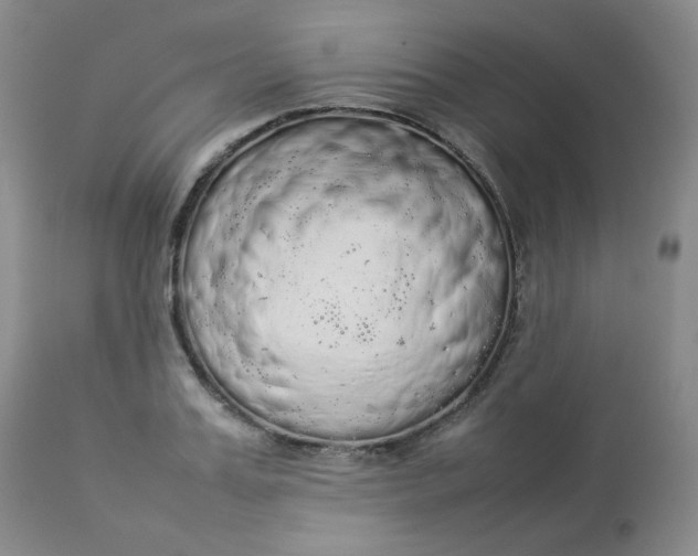 X0000112830987200909111353