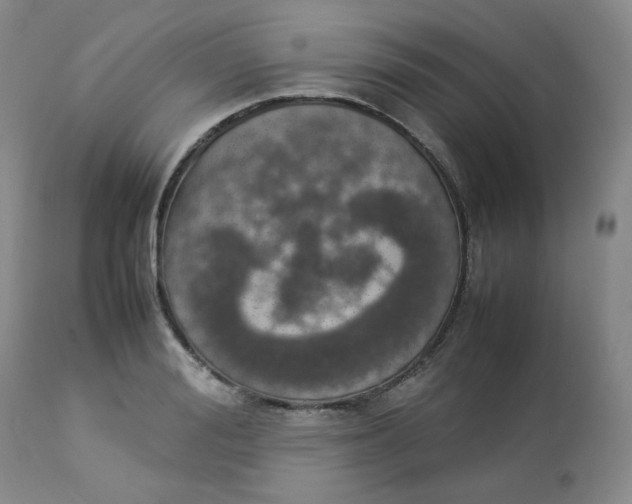 X0000112830988200909111353