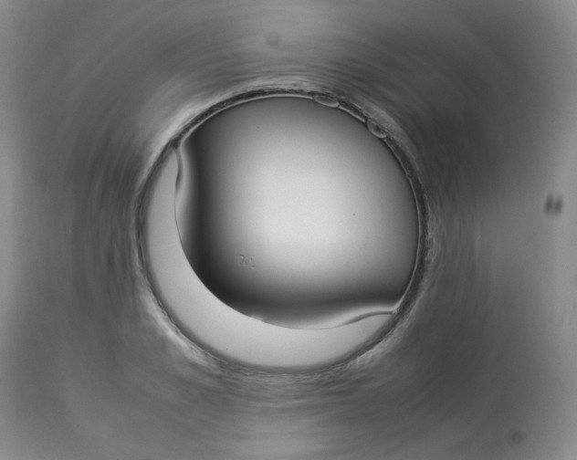 X0000112830989200909111353