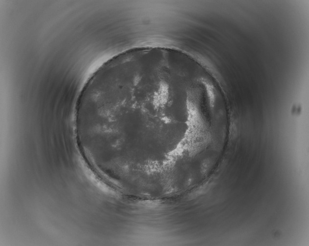 X0000112830990200909111353