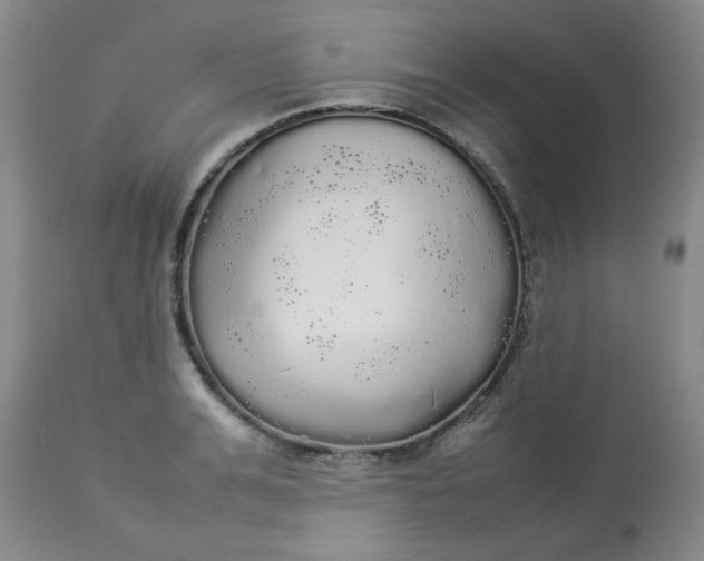 X0000112830991200909111353