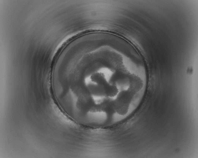 X0000112830992200909111353