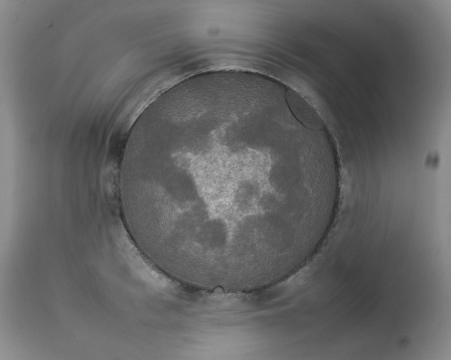 X0000112830993200909111353