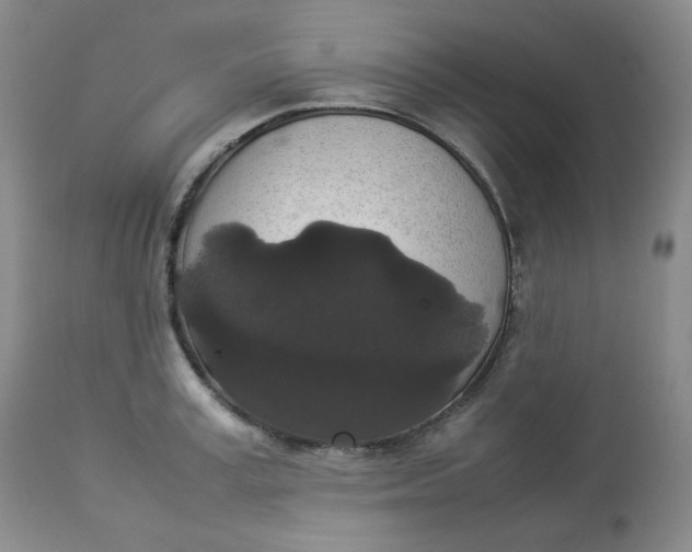 X0000112830995200909111353