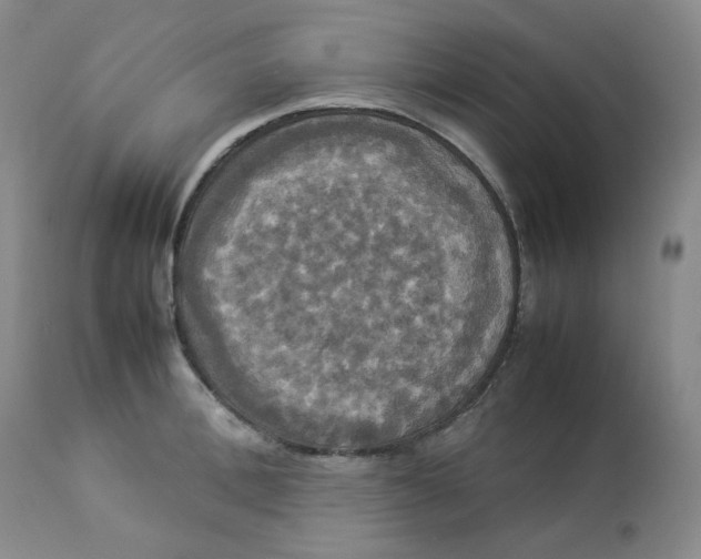 X0000112830996200909111353