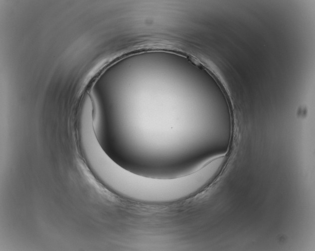 X0000112830997200909111353