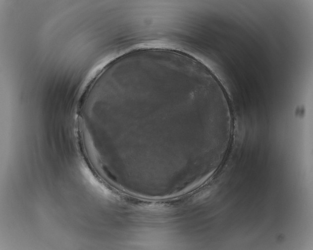 X0000112830998200909111353