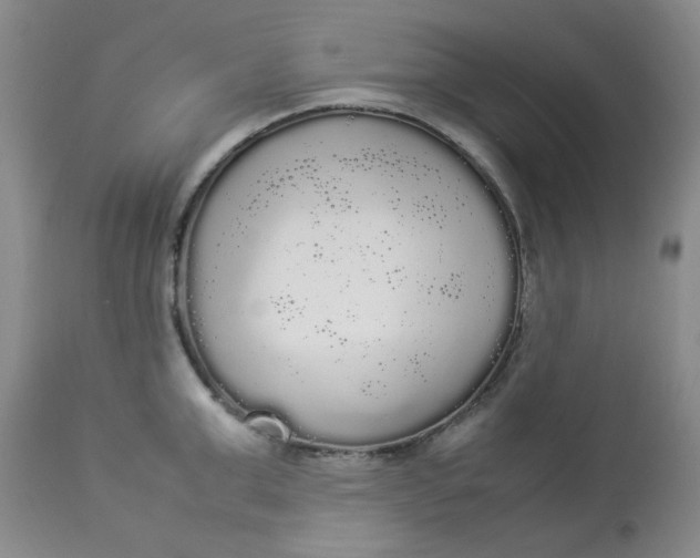 X0000112830999200909111353