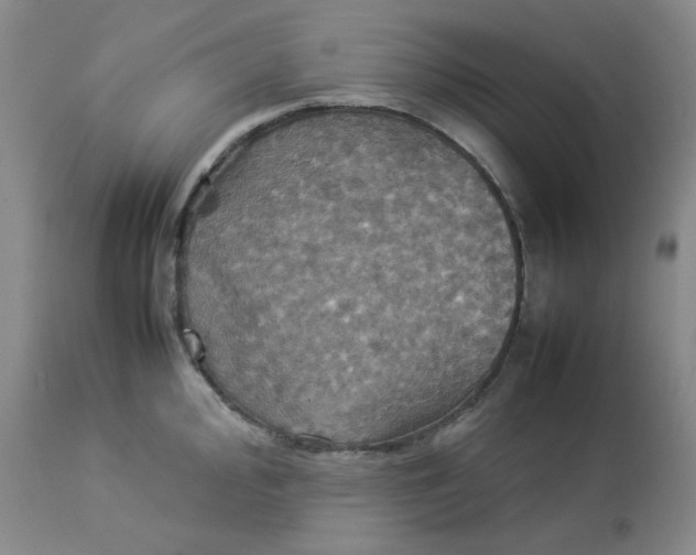 X0000112831000200909111353