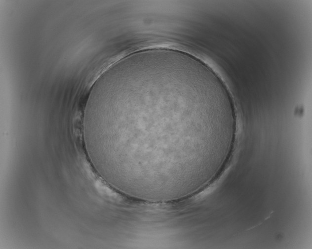 X0000112831001200909111353