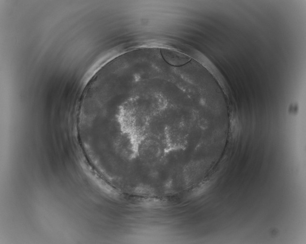 X0000112831002200909111353