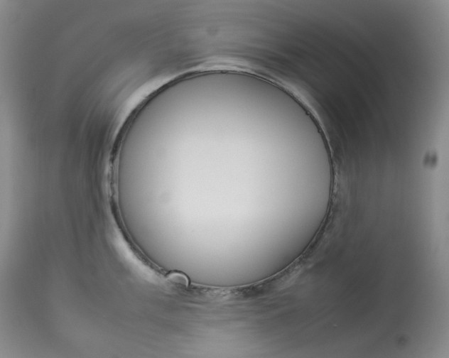 X0000112831003200909111353