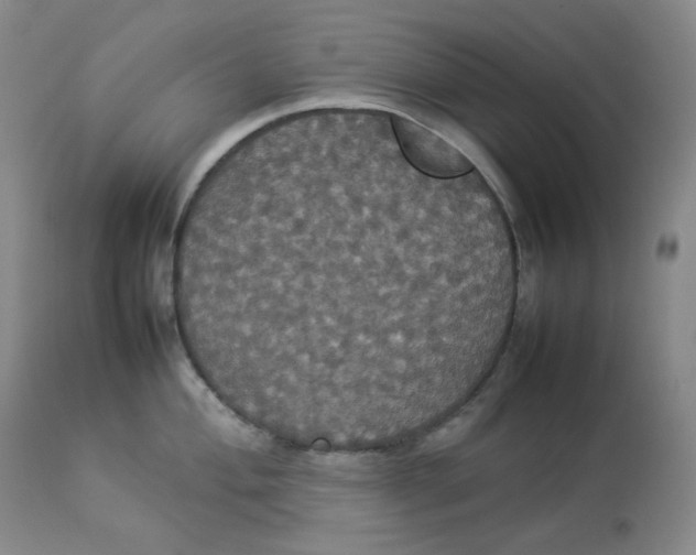 X0000112831004200909111353