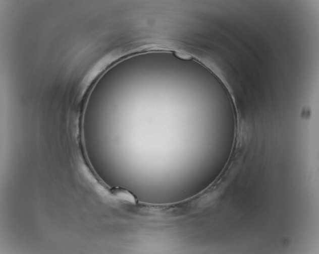 X0000112831005200909111353