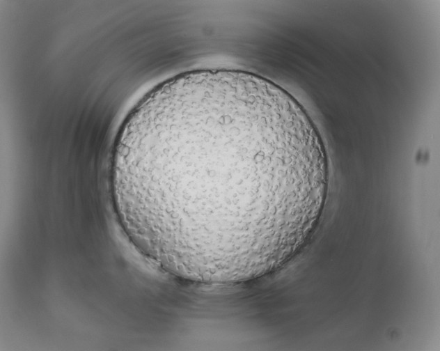 X0000112831008200909111353