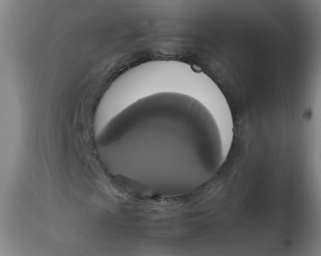 X0000112831009200909111352