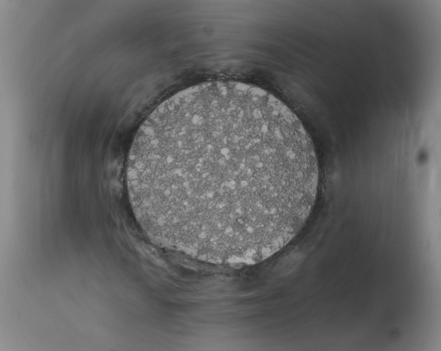 X0000112831010200909111352